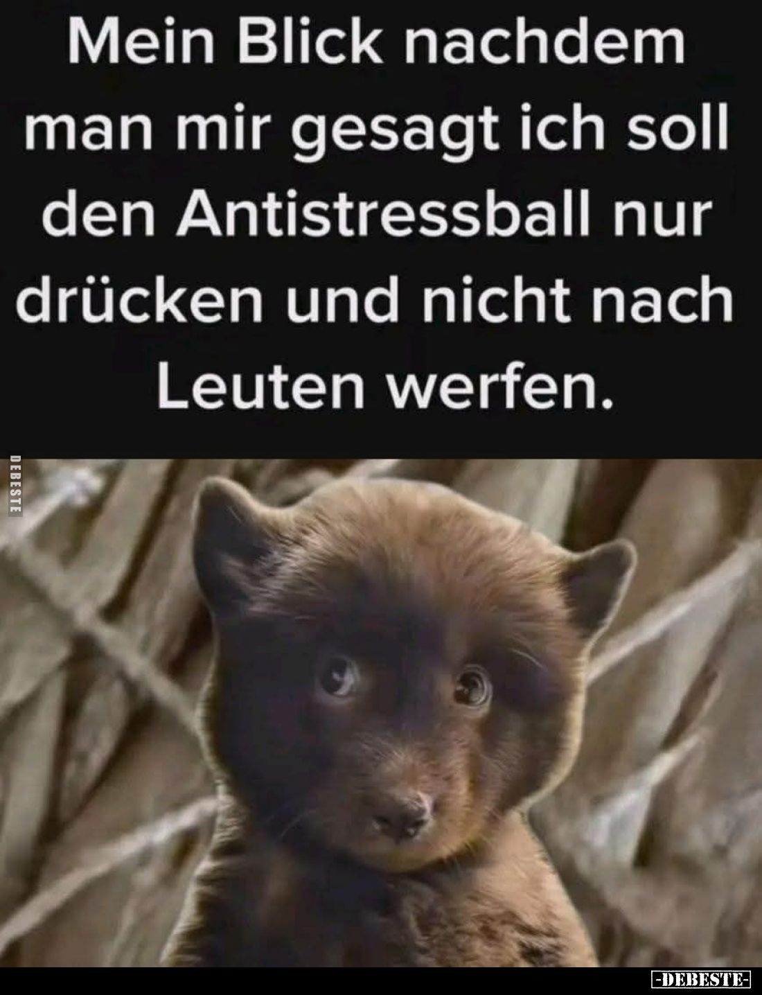 Mein Blick nachdem man mir gesagt ich soll den Antistressball nur drücken und nicht nach Leuten werfen.