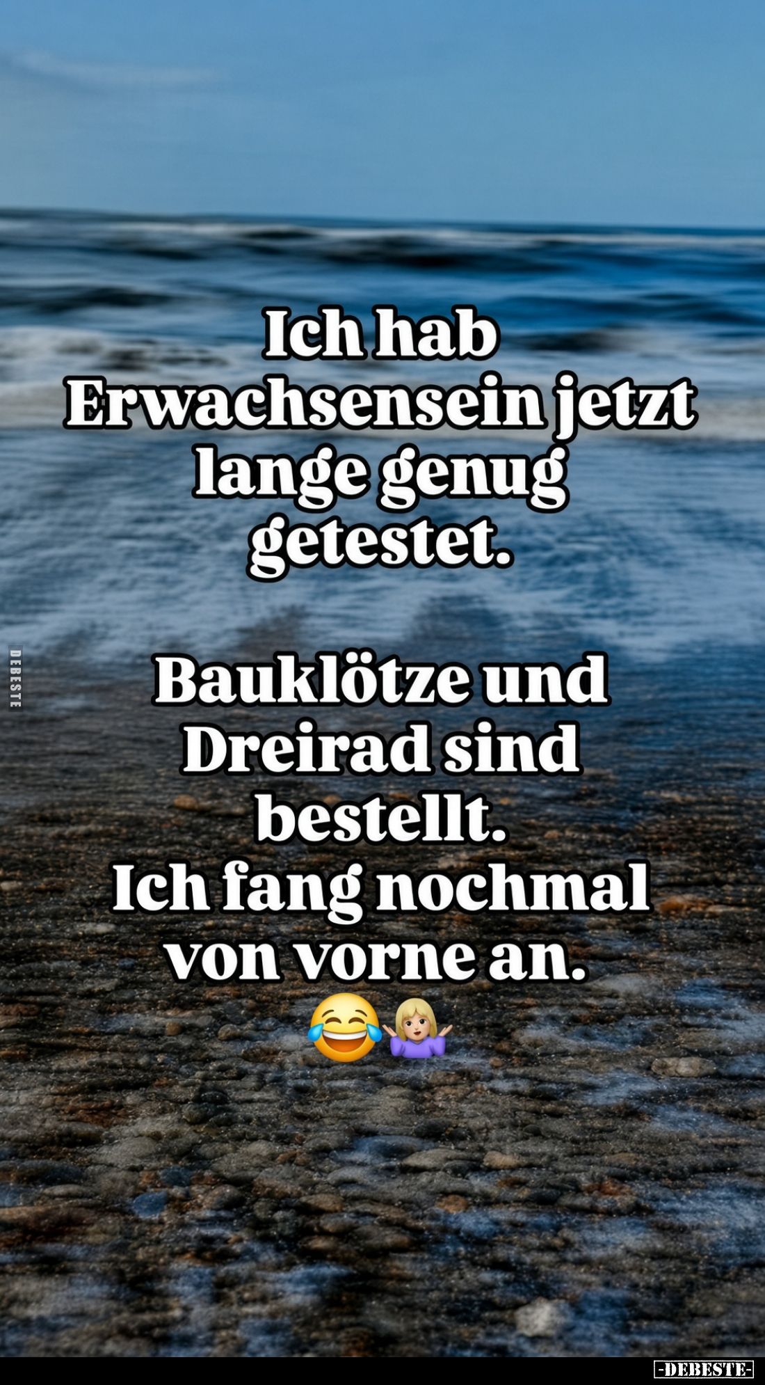 Ich hab Erwachsensein jetzt lange genug getestet. Bauklötze und Dreirad sind bestellt. Ich fang nochmal von vorne an.