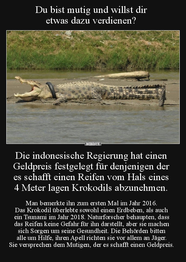 Du bist mutig und willst dir etwas dazu verdienen?..