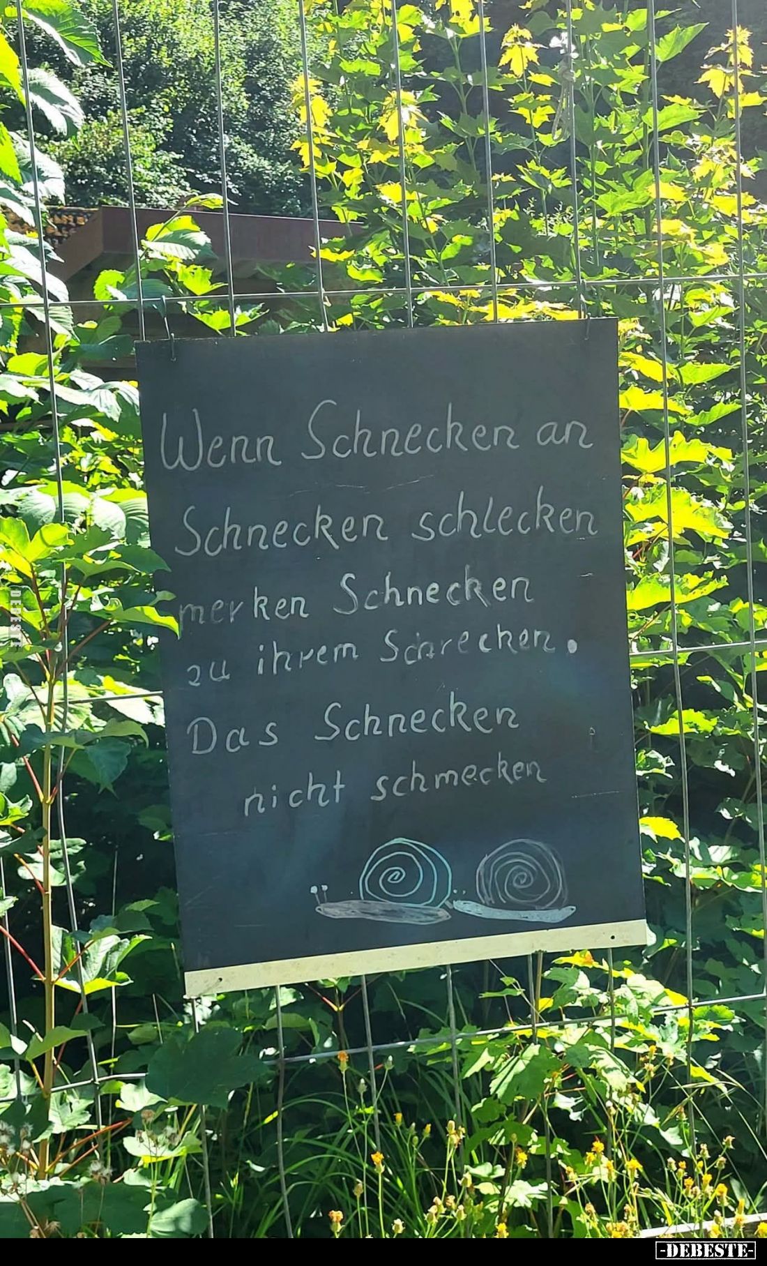 Wenn Schnecken an Schnecken schlecken merken Schnecken zu ihrem Schrecken.
Das Schnecken nicht schmecken.