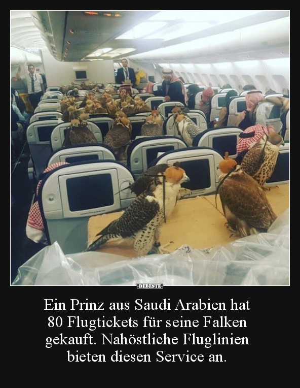 Ein Prinz aus Saudi Arabien hat 80 Flugtickets für seine.. - Lustige Bilder | DEBESTE.de