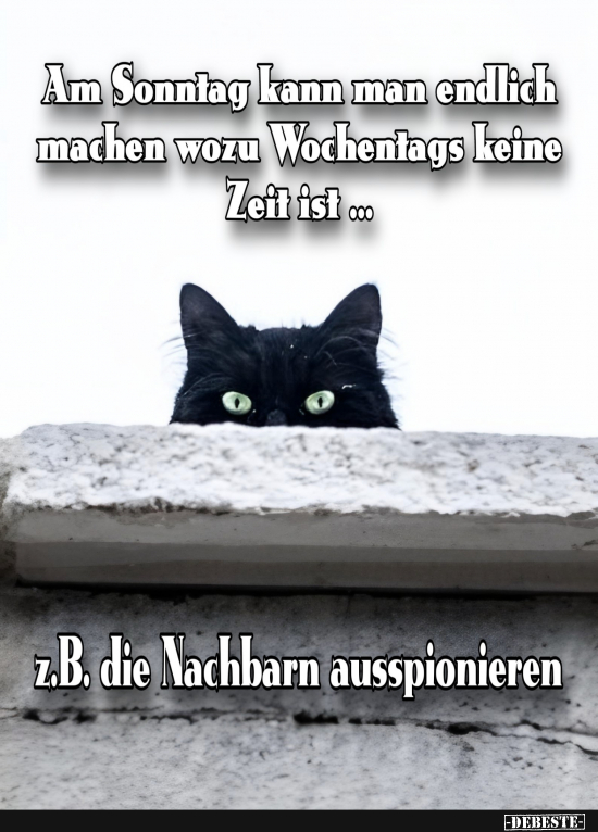  - Lustige Bilder | DEBESTE.de