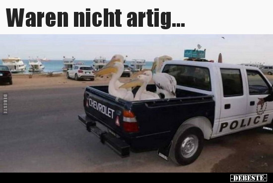 Waren nicht artig