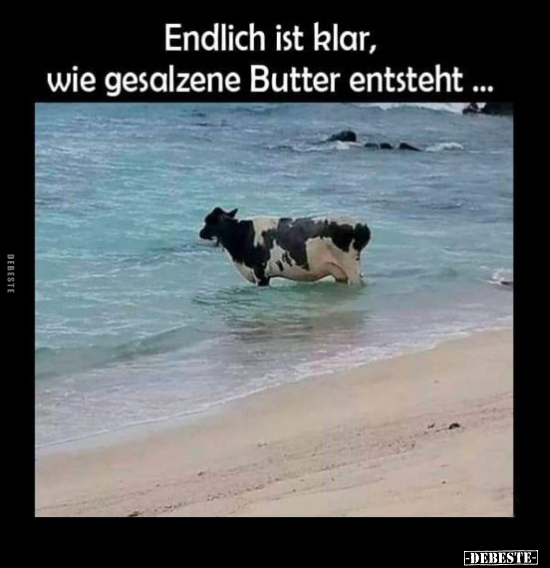 Endlich ist klar, wie gesalzene Butter entsteht.. - Lustige Bilder | DEBESTE.de