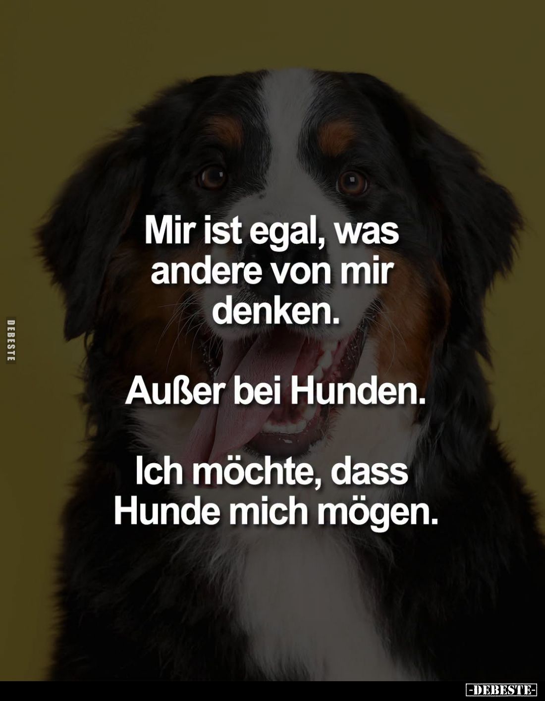 Mir ist egal, was andere von mir denken.
Außer bei Hunden.
Ich möchte, dass Hunde mich mögen.