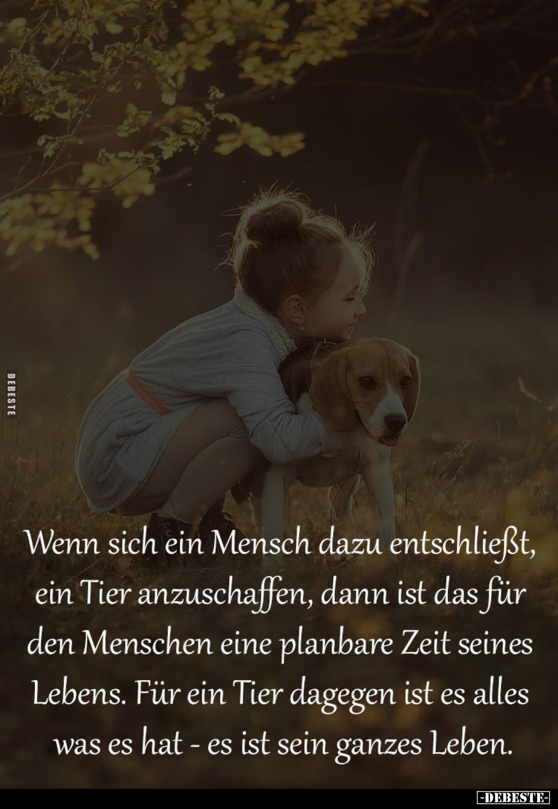 Wenn sich ein Mensch dazu entschließt, 
ein Tier anzuschaffen, dann ist das für 
den Menschen eine planbare Zeit seines 
L...