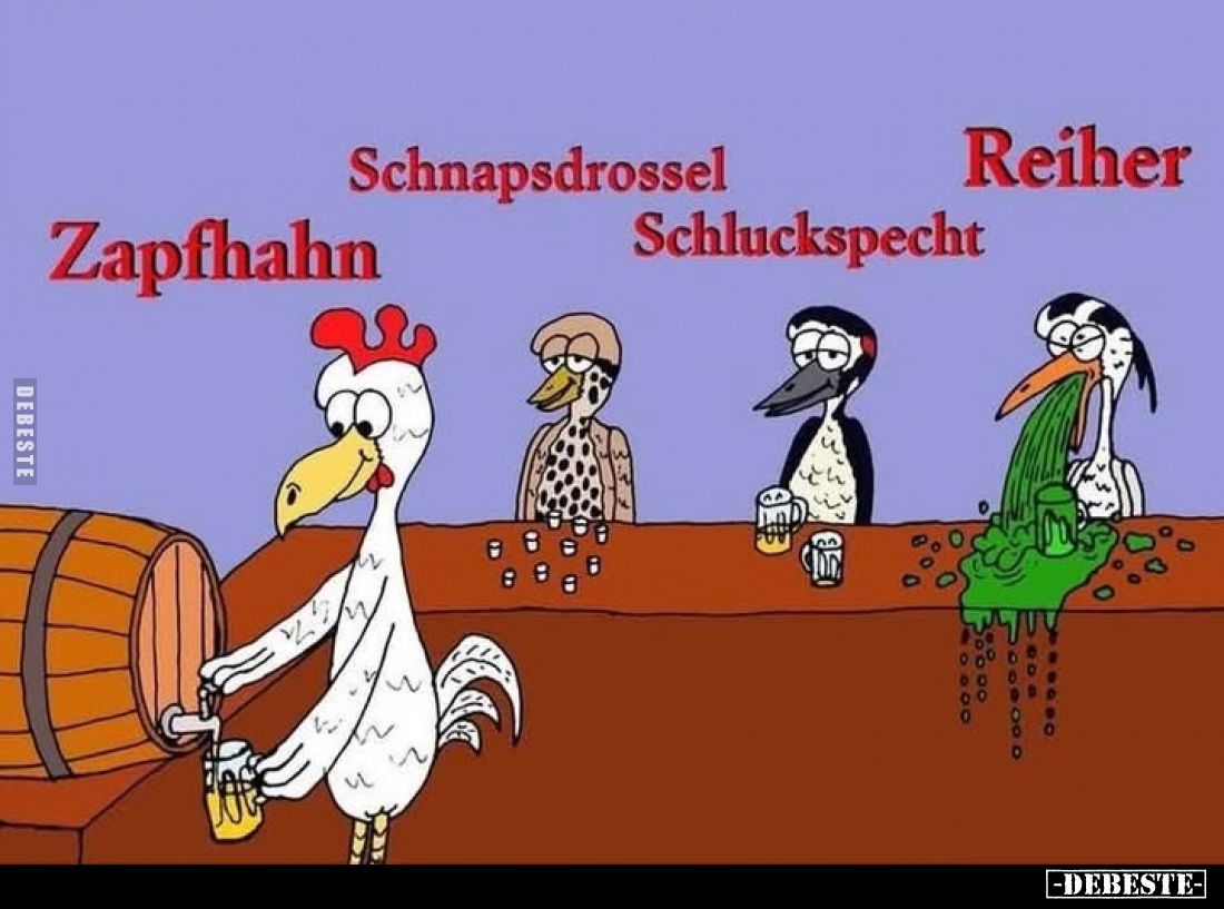 Zapfhahn / Schnapsdrossel / Schluckspecht / Reiher