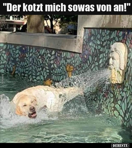 "Der kotzt mich sowas von an!".. - Lustige Bilder | DEBESTE.de