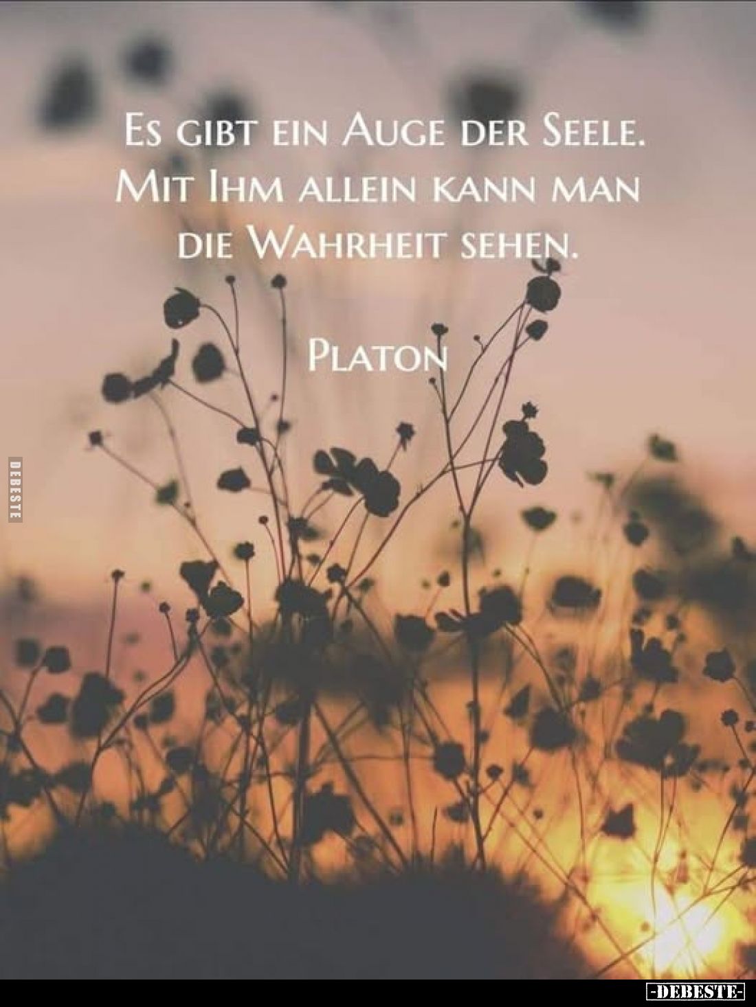 Es gibt ein Auge der Seele.
Mit ihm allein kann man die Wahrheit sehen.