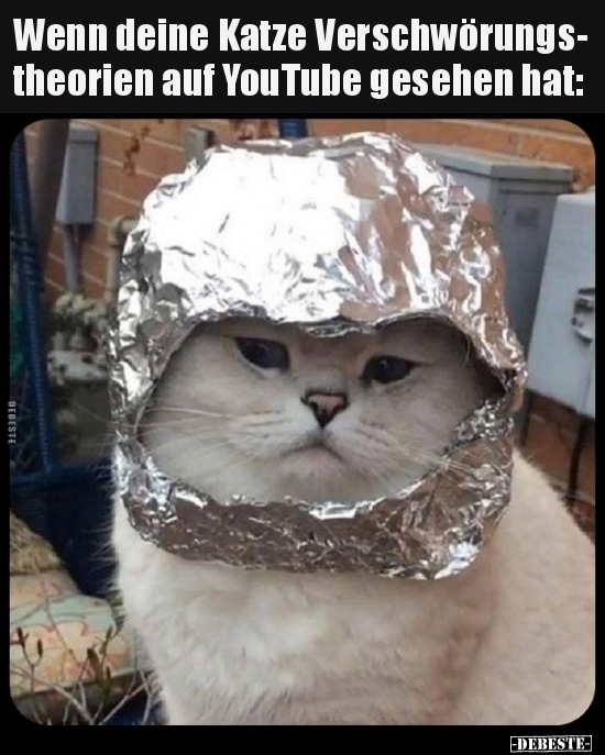Wenn deine Katze Verschwörungs- theorien auf YouTube.. - Lustige Bilder | DEBESTE.de