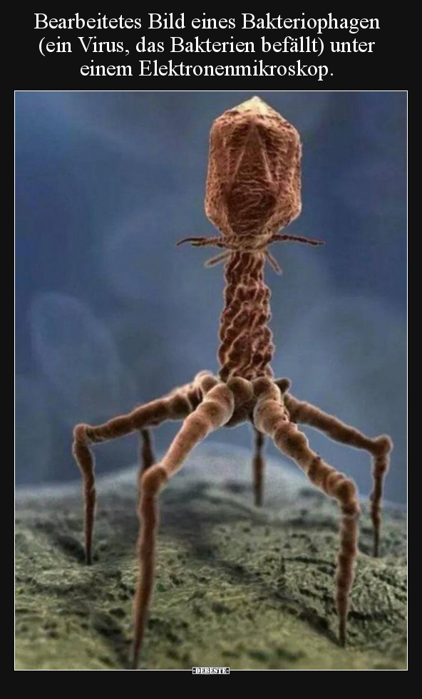 Bearbeitetes Bild eines Bakteriophagen (ein Virus, das..) - Lustige Bilder | DEBESTE.de