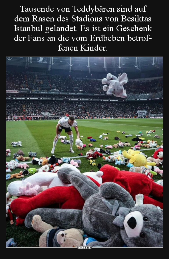 Tausende von Teddybären sind auf dem Rasen des Stadions.. - Lustige Bilder | DEBESTE.de