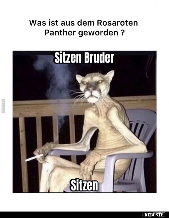 Was ist aus dem Rosaroten Panther geworden?.. - Lustige Bilder | DEBESTE.de