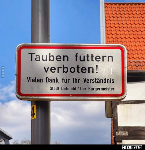 Tauben futtern verboten! Vielen Dank für Ihr Verständnis.. - Lustige Bilder | DEBESTE.de