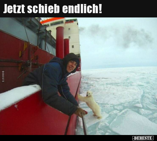 Jetzt schieb endlich!..