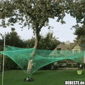  - Lustige Bilder | DEBESTE.de