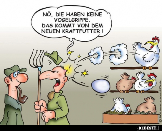 Nö, die haben keine Vogelgrippe.. - Lustige Bilder | DEBESTE.de