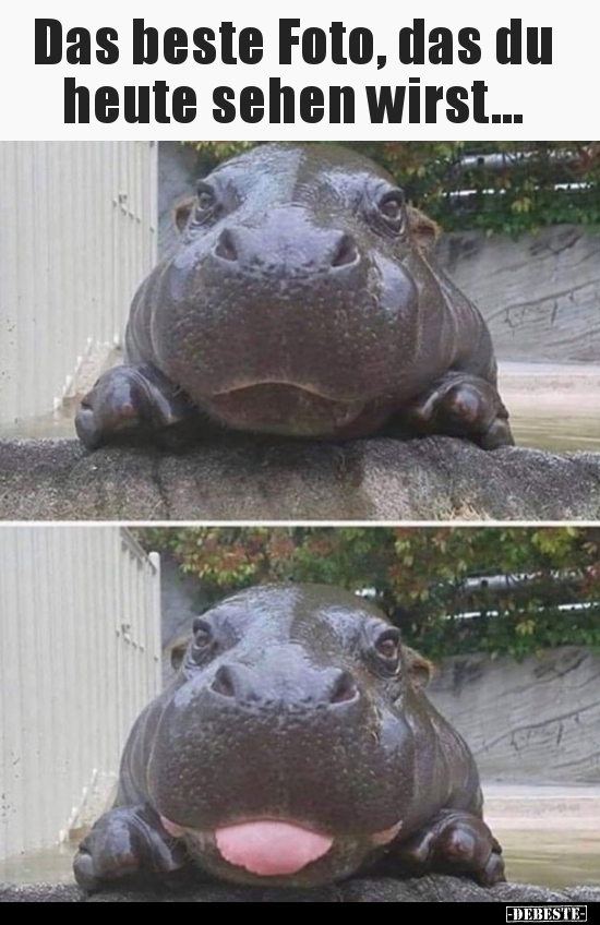 Das beste Foto, das du heute sehen wirst...