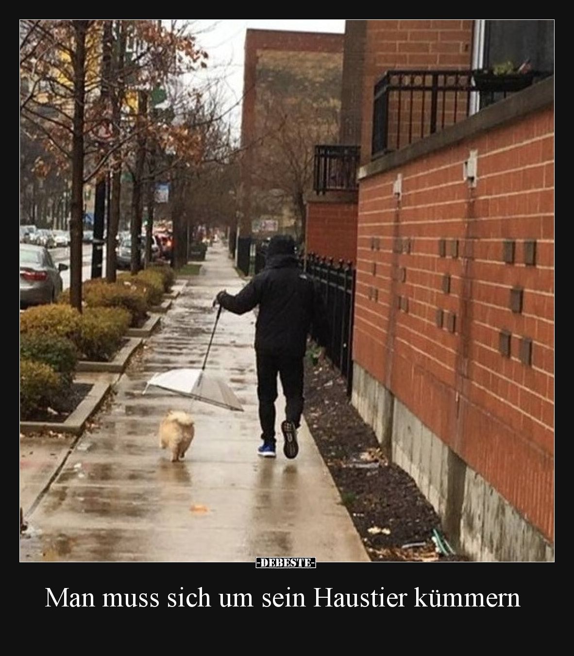 Man muss sich um sein Haustier kümmern