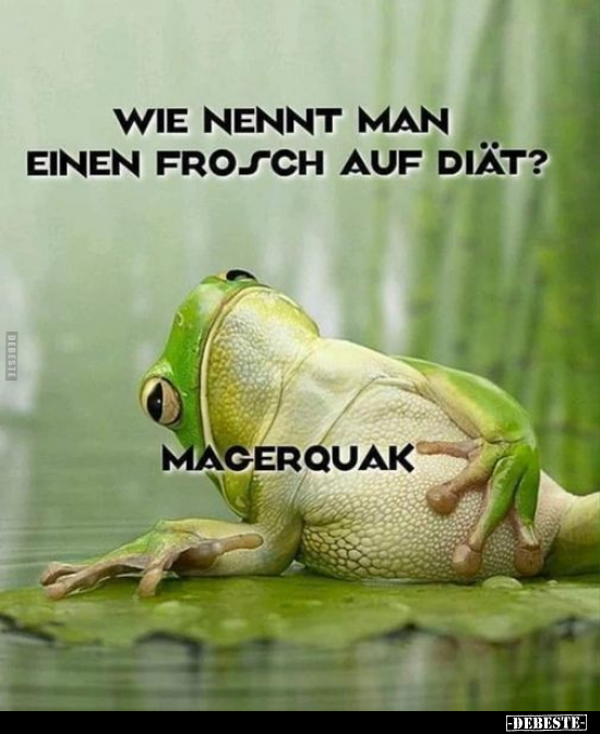 Wie nennt man einen Frosch auf Diät?.. - Lustige Bilder | DEBESTE.de
