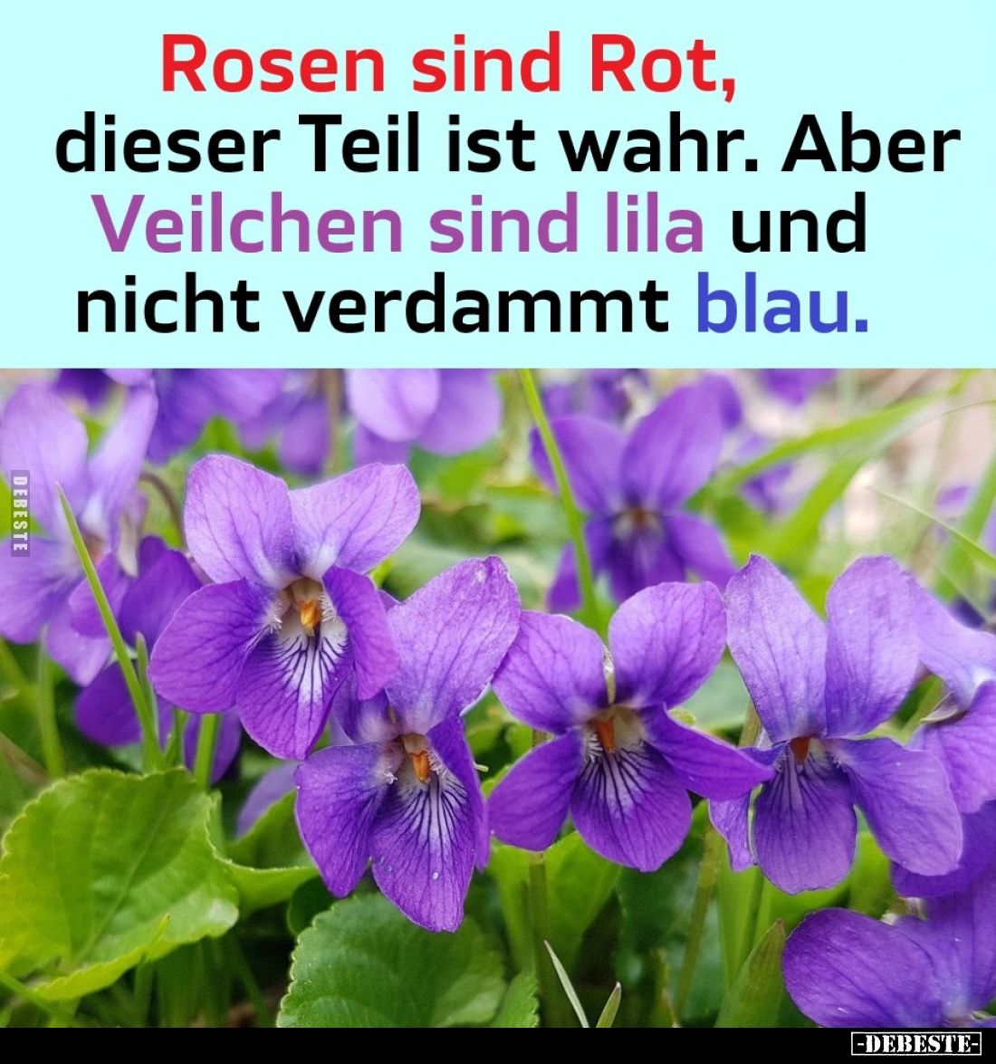 Rosen sind Rot,
dieser Teil ist wahr. Aber Veilchen sind lila und nicht verdammt blau.