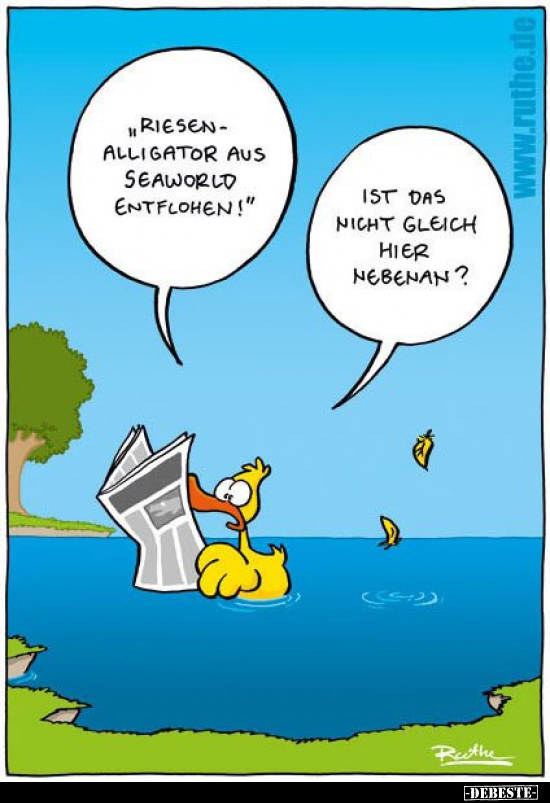"Riesenalligator aus Seaworld entflohen!".. - Lustige Bilder | DEBESTE.de