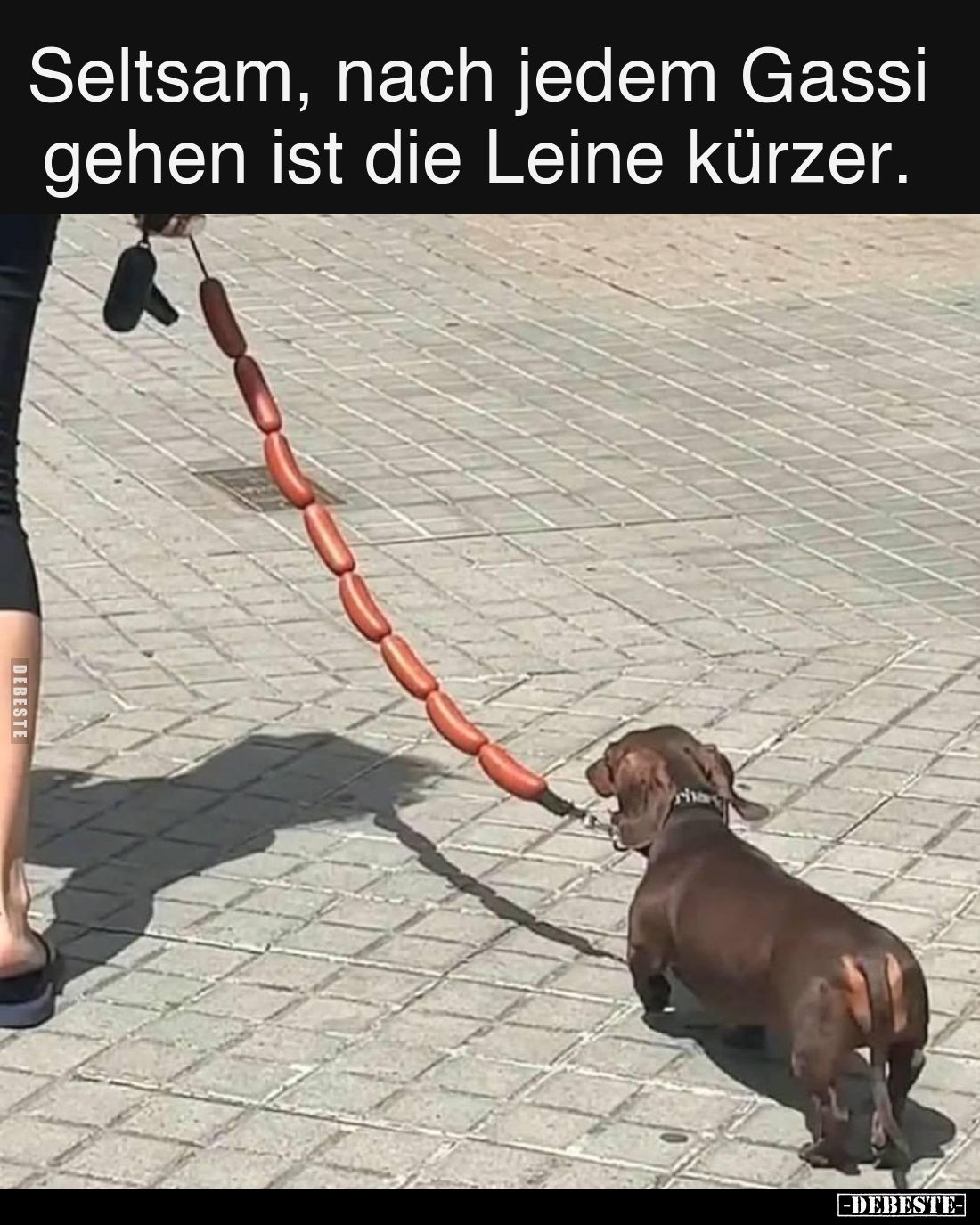 Seltsam, nach jedem Gassi gehen ist die Leine kürzer... - Lustige Bilder | DEBESTE.de