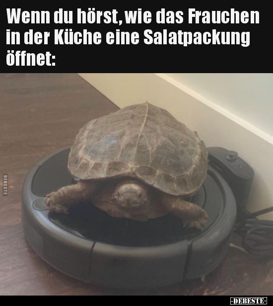 Wenn du hörst, wie das Frauchen in der Küche eine.. - Lustige Bilder | DEBESTE.de
