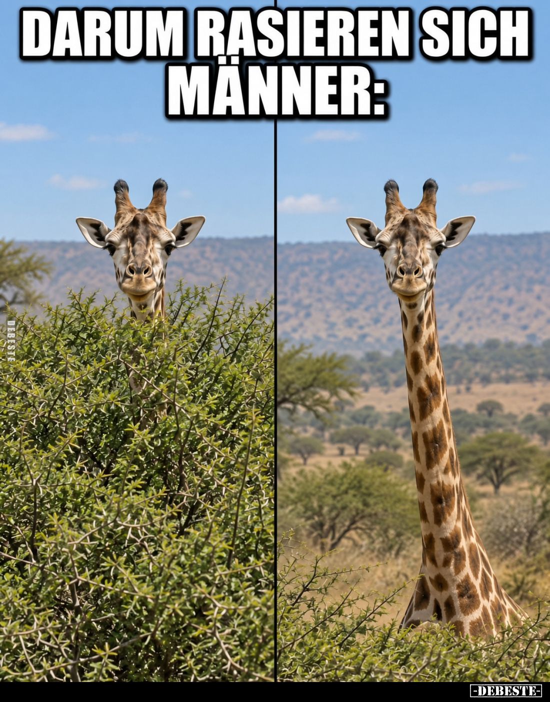 Darum rasieren sich Männer.. - Lustige Bilder | DEBESTE.de