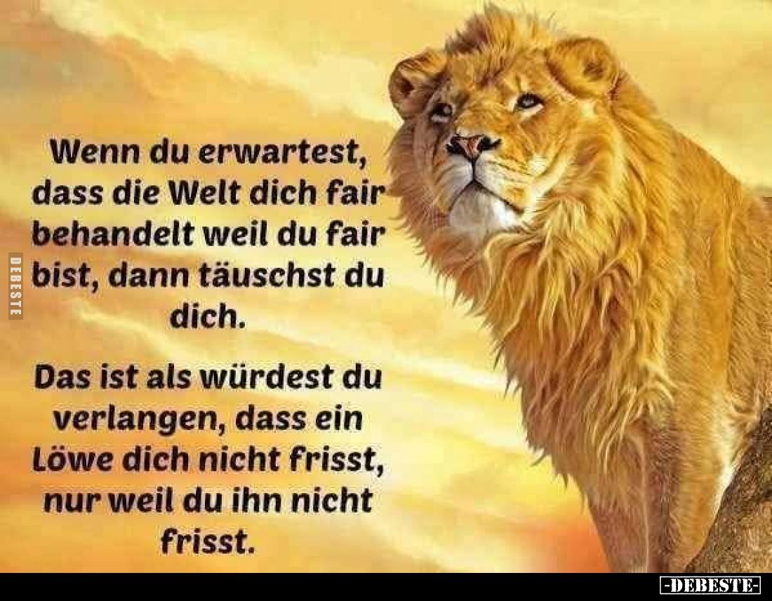 Wenn du erwartest, dass die Welt dich fair behandelt weil du fair bist, dann täuschst du dich.
Das ist als würdest du verlan...