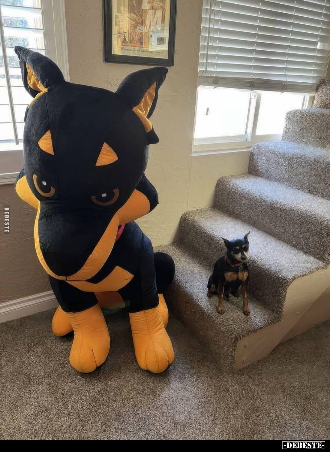  - Lustige Bilder | DEBESTE.de