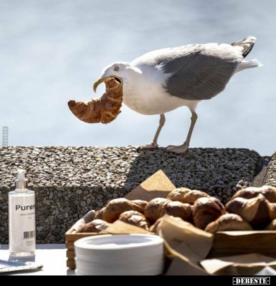  - Lustige Bilder | DEBESTE.de