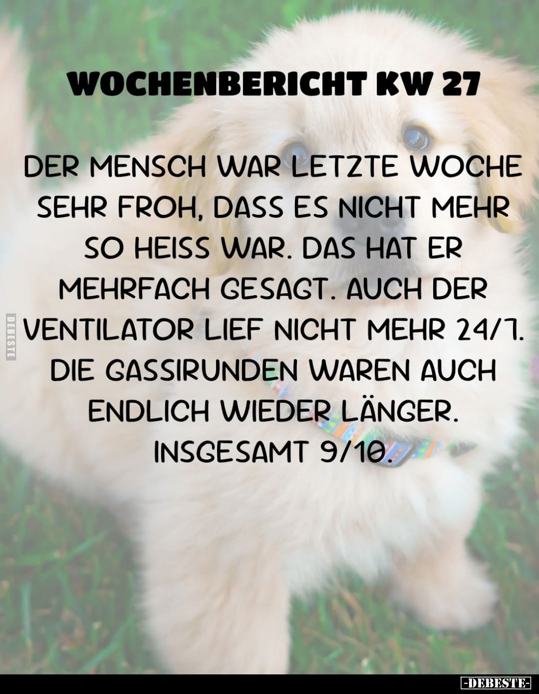 Wochenbericht KW 27.
Der Mensch war letzte Woche sehr froh, dass es nicht mehr so heiß war. Das hat er mehrfach gesagt. Auch...
