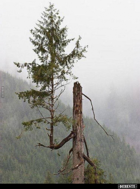  - Lustige Bilder | DEBESTE.de