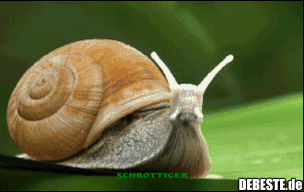 TecSnail - Lustige Bilder | DEBESTE.de