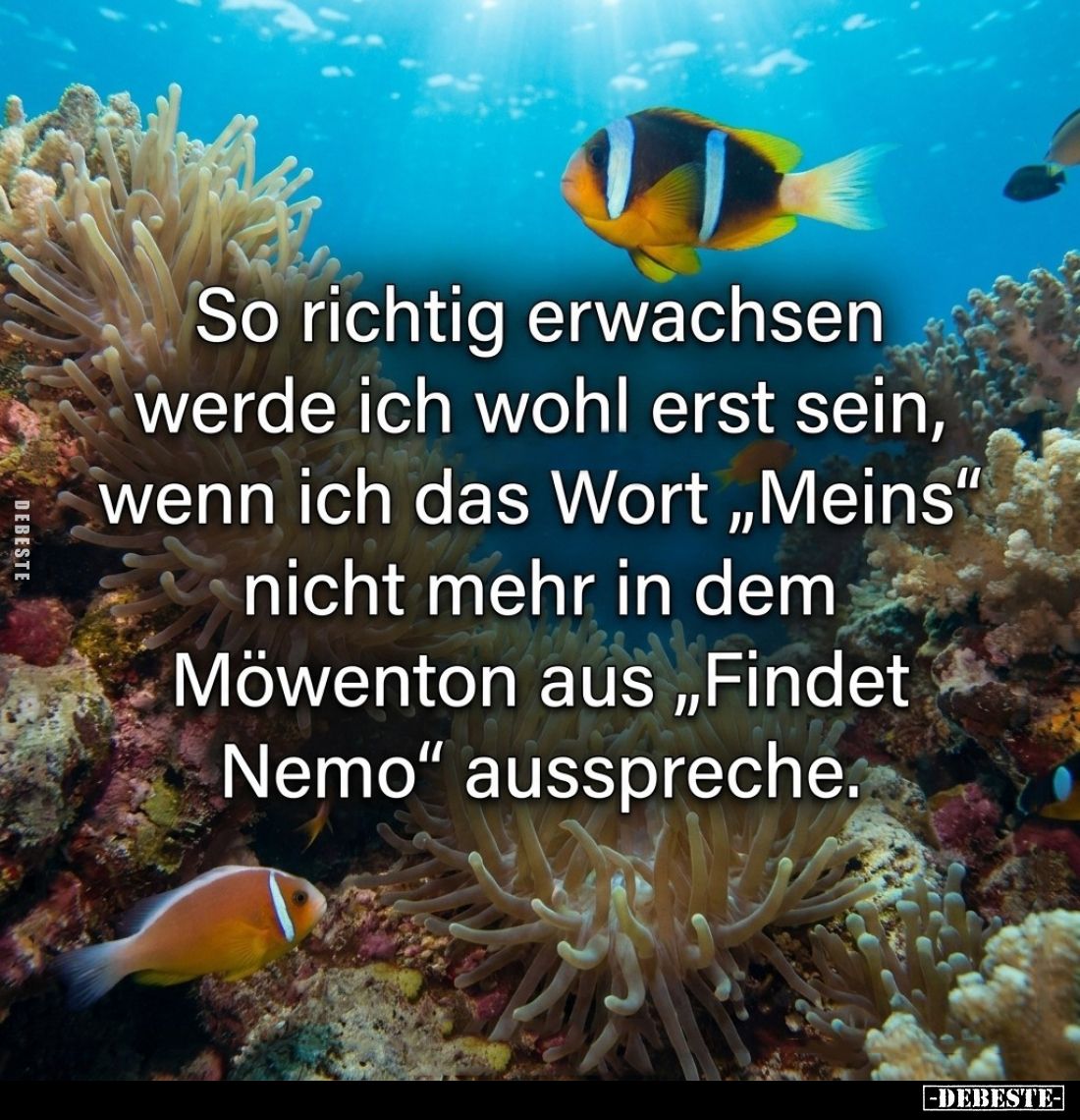So richtig erwachsen werde ich wohl erst sein, wenn ich das Wort "Meins" nicht mehr in dem Möwenton aus "Finde...