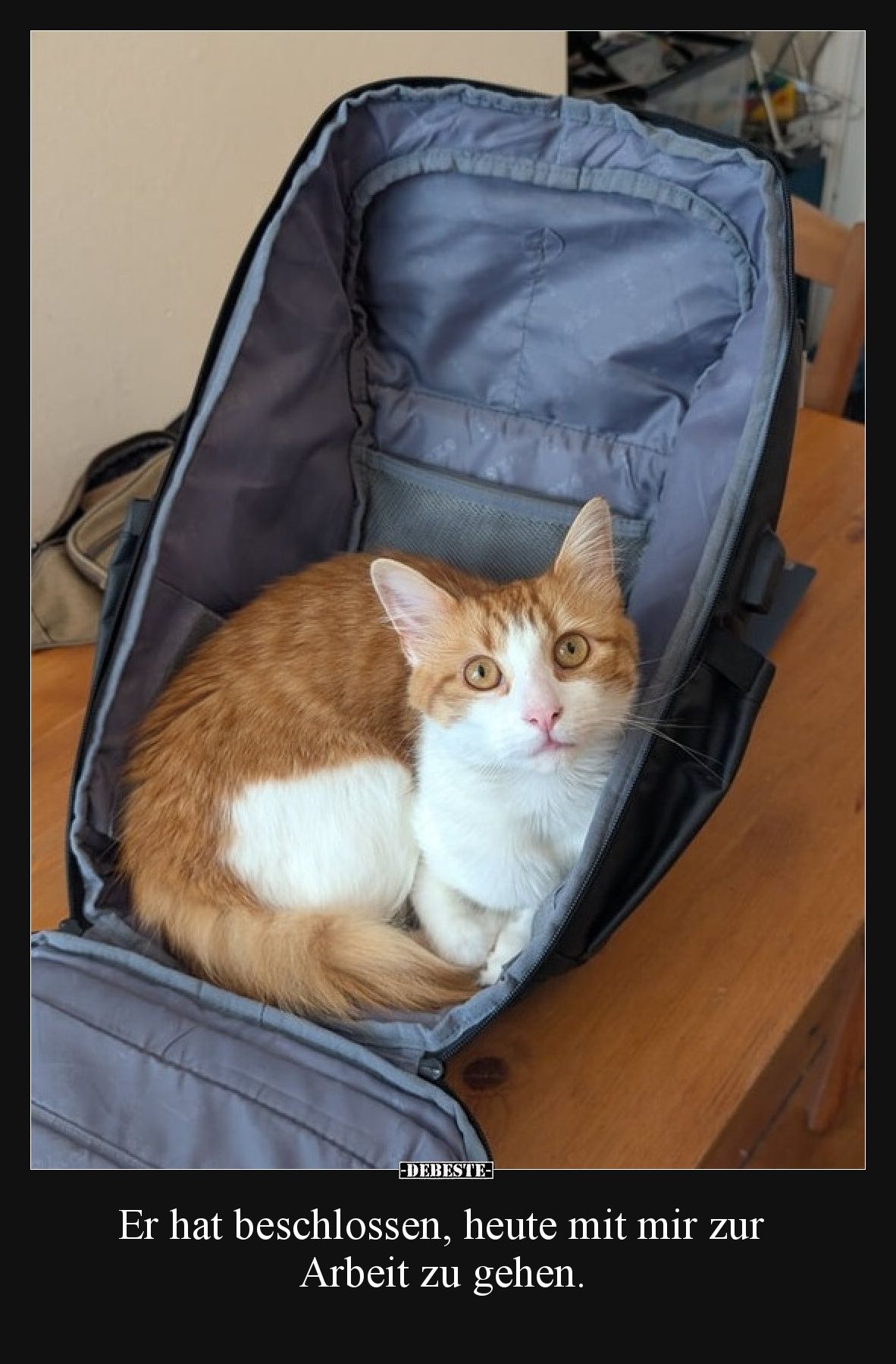 Er hat beschlossen, heute mit mir zur Arbeit zu gehen.