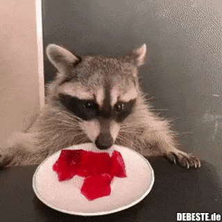  - Lustige Bilder | DEBESTE.de