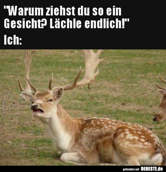 "Warum ziehst du so ein Gesicht? Lächle.."