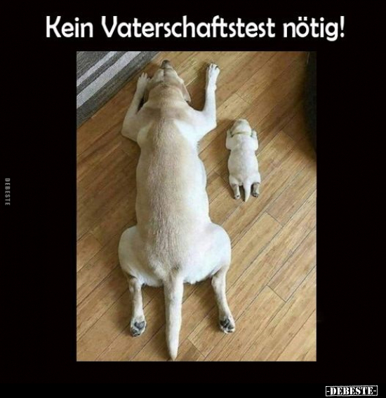 Kein Vaterschaftstest nötig!.. - Lustige Bilder | DEBESTE.de