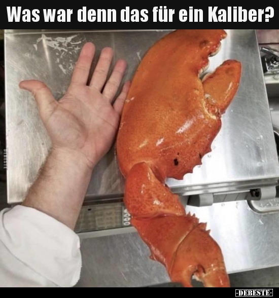 Was war denn das für ein Kaliber?..