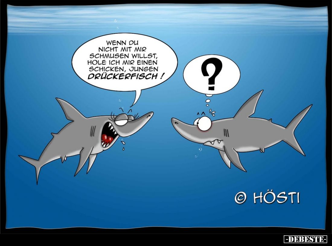 Wenn du nicht mit mir schmusen willst, hole ich mir einen schicken, jungen Drückerfisch!