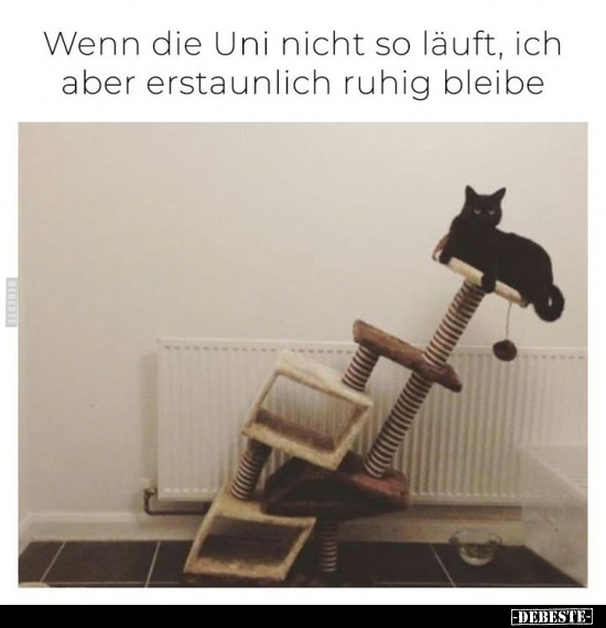 Wenn die Uni nicht so läuft, ich aber erstaunlich ruhig bleibe.. - Lustige Bilder | DEBESTE.de