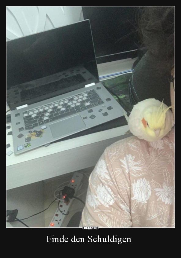 Finde den Schuldigen..