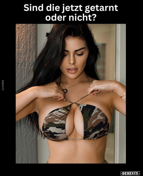 Sind die jetzt getarnt oder nicht?.. - Lustige Bilder | DEBESTE.de