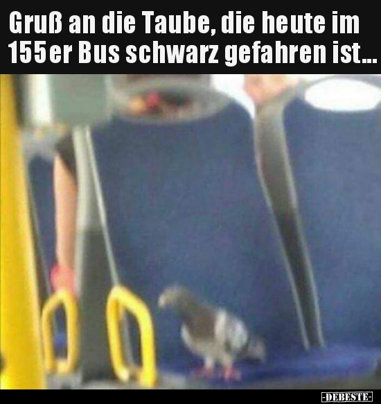 Gruß an die Taube, die heute im 155er Bus schwarz gefahren.. - Lustige Bilder | DEBESTE.de