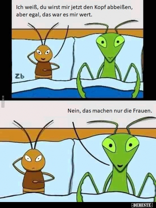 Ich weiß, du wirst mir jetzt den Kopf abbeißen, aber..