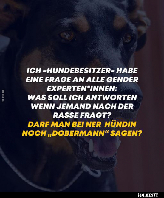 Ich -Hundebesitzer- habe eine Frage an alle Gender.. - Lustige Bilder | DEBESTE.de