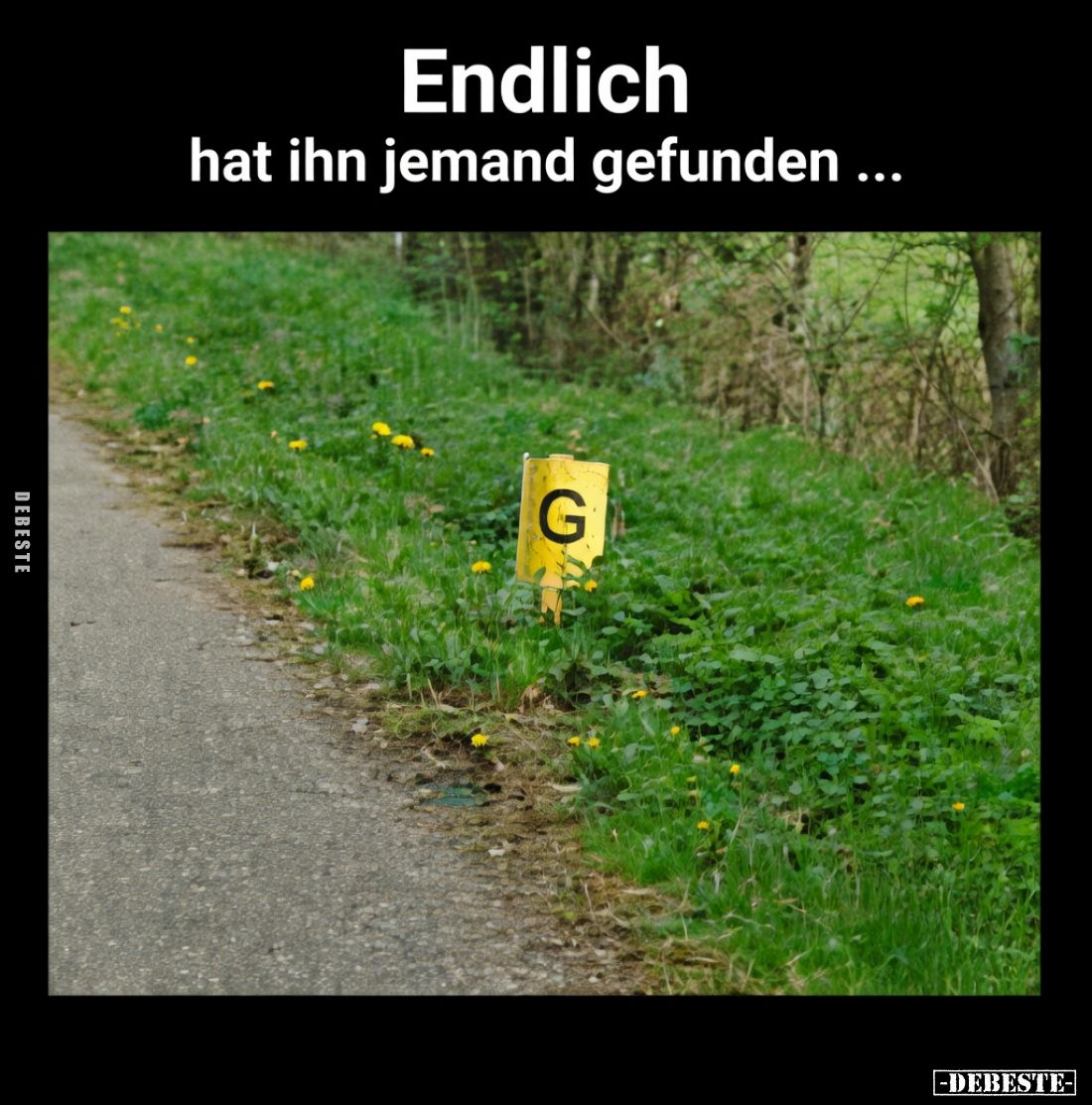 Endlich
hat ihn jemand gefunden ...