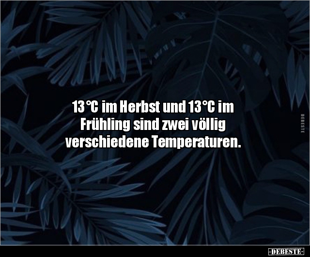 13°C im Herbst und 13°C im Frühling sind zwei völlig.. - Lustige Bilder | DEBESTE.de